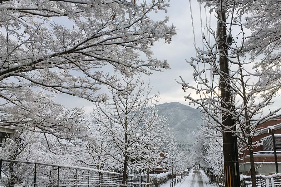 雪の京都は風情があります