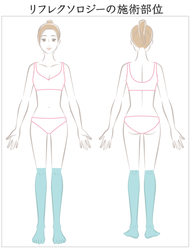 リフレクソロジーの施術部位