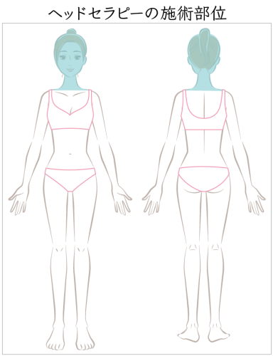 ヘッドセラピーの施術部位