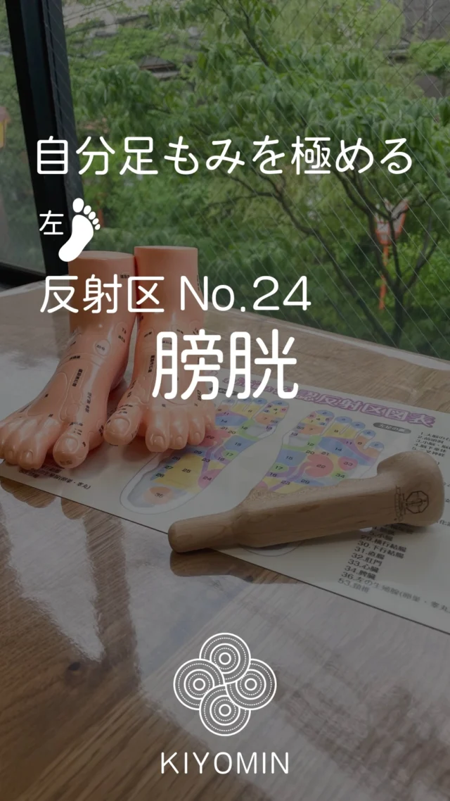 若石　初級プロ養成講座セットと愛心棒 全国で資格取得ができる / 国際若石メソッドスクール